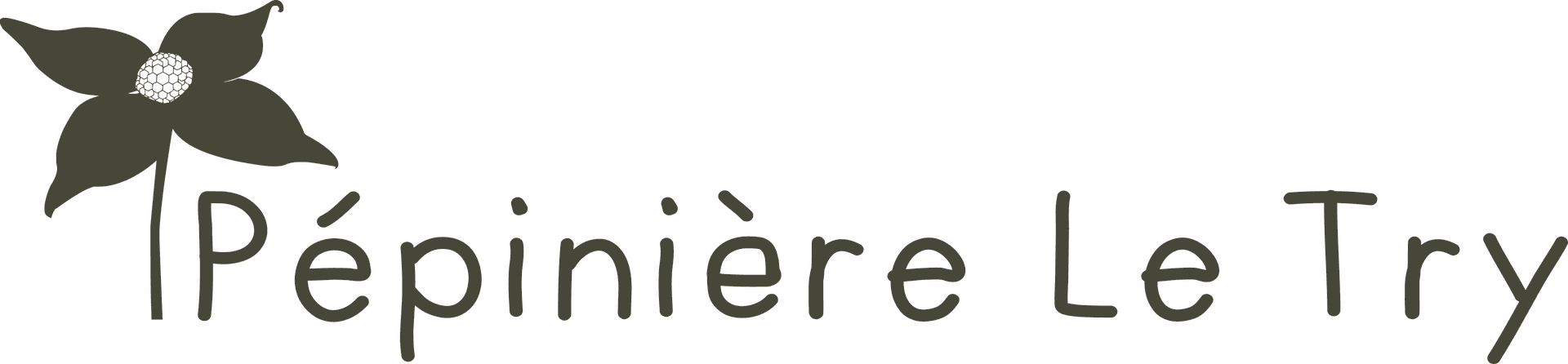 My Website