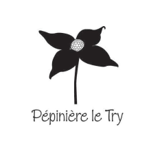 My Website